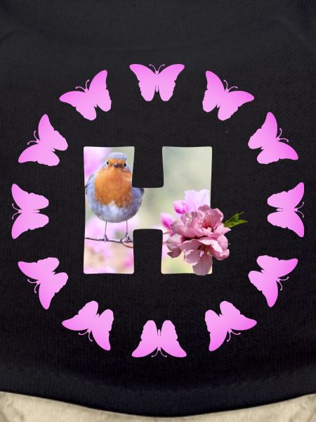 fruit blossom h
