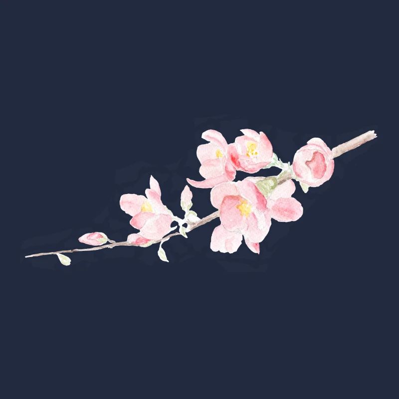 Kirschblüte - Sakura