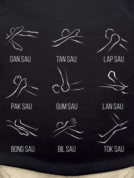 Wingtsun Wing chun