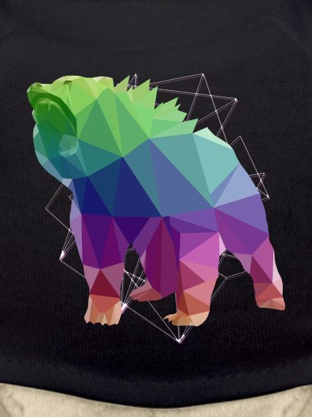Bear Brown Bear Wild