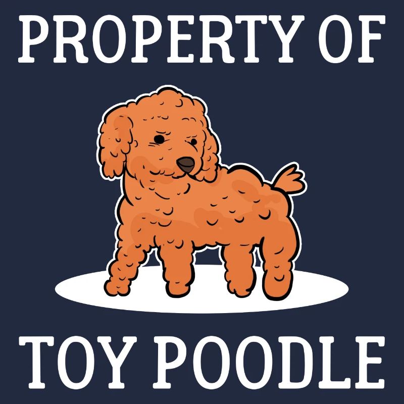 Pudel