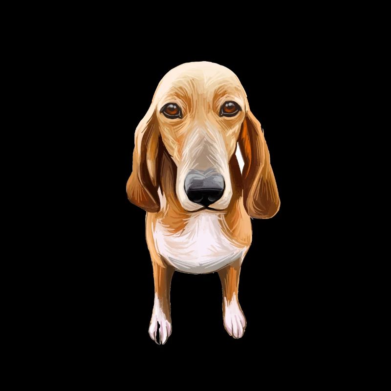 Schweizer Laufhund Hunde Aquarell Illustration