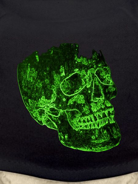 Skull