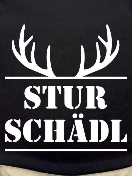 STURSCHÄDL