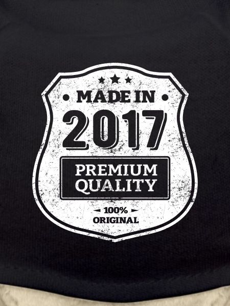 MADE IN 2017