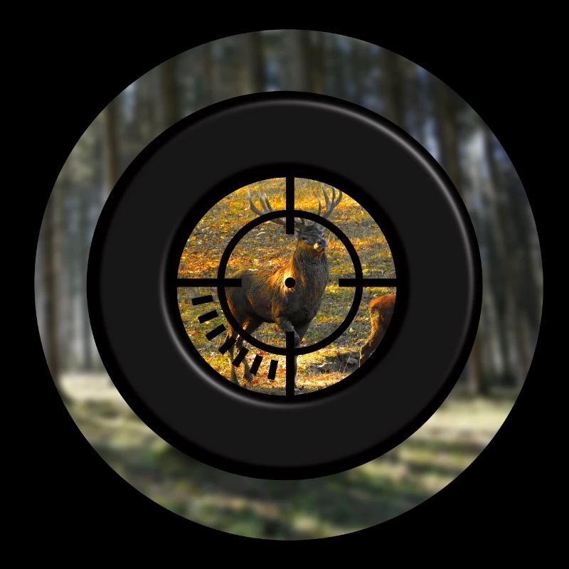 A deer through the scope