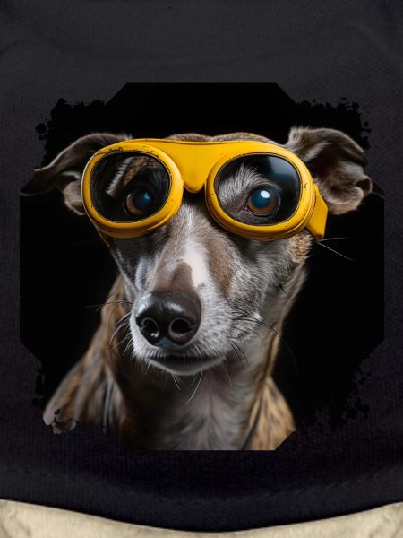 Dog with glasses
