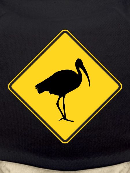 Bin Chicken Road sign