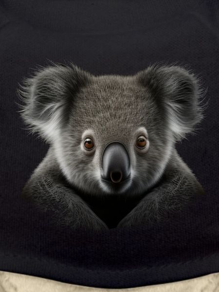Cute Koala Australia