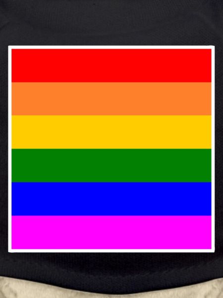 LGBT rainbow flag
