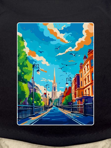 Dublin Irland Uk Vintage Reiseplakat Souvenir