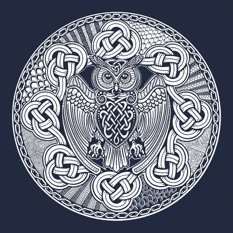 Owl Viking