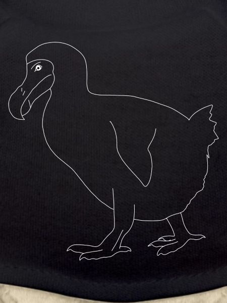 Dodo