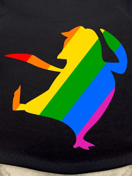 Rainbow Penguin Does Karate