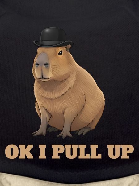 Okay, ich ziehe auf – Capybara-Meme-Humor