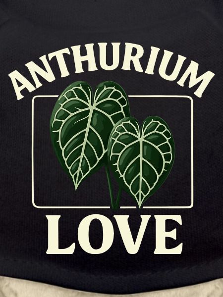 Anthurium Love