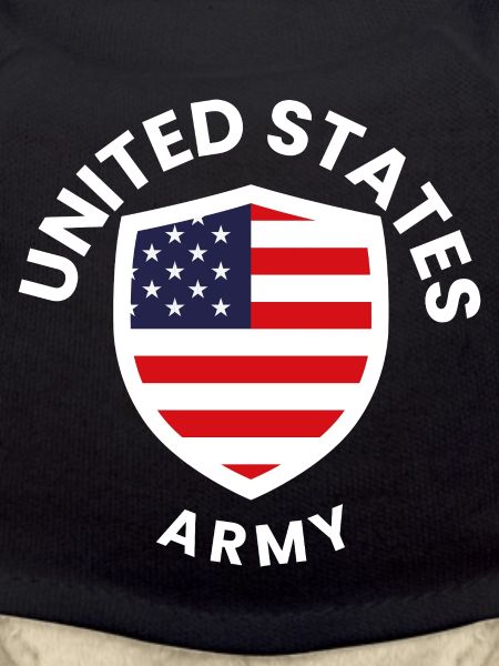 US Army Shield Flag Emblem