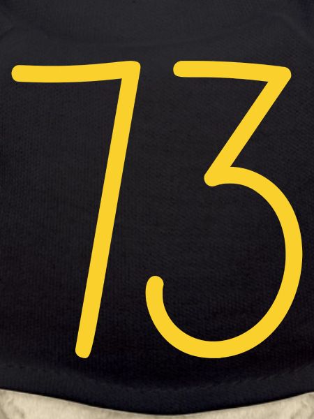 73