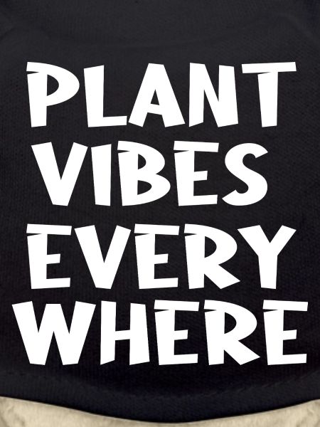 Plant vibes everywhere 