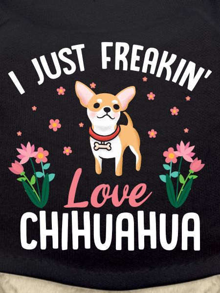 J’adore le chihuahua