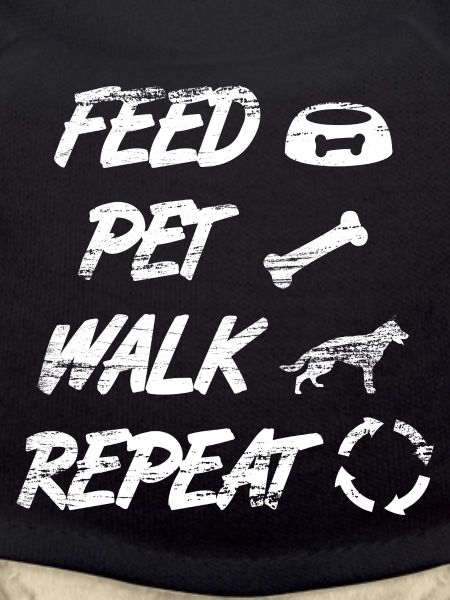 Feed Pet Walk Repeat