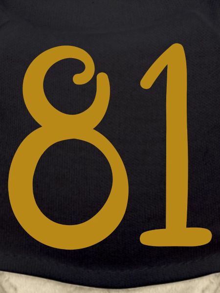 81