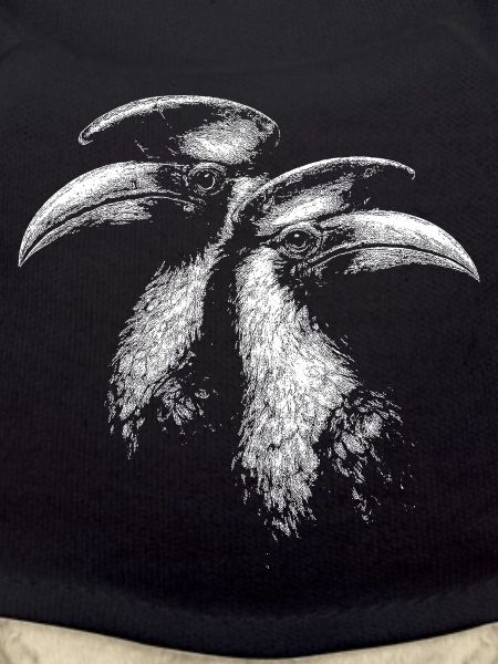 Hornbills