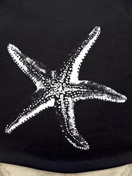 White Starfish Silhouette on Black