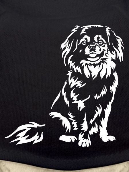 Tibetspaniel "Black Edition"