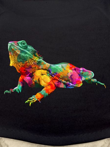 Bartdrache bunt
