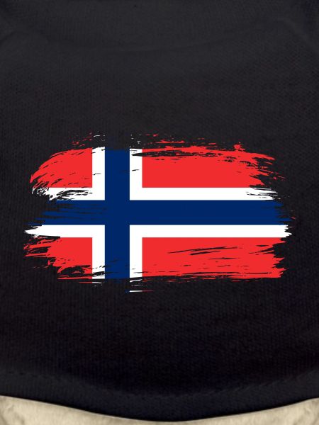 Norway Flag