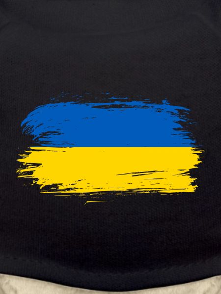 Ukraine flag