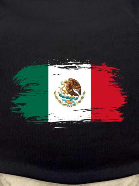 Mexico flag