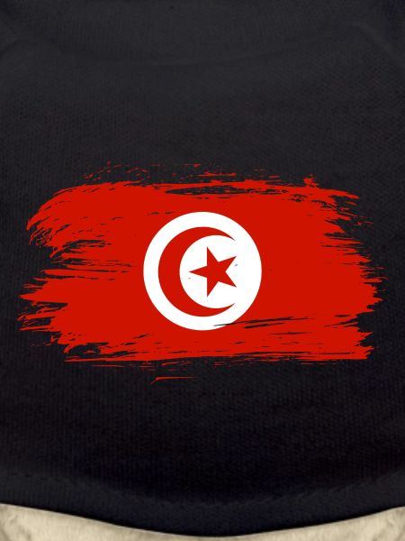 Tunisia flag flag