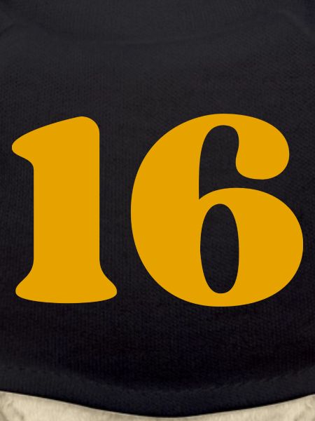 16