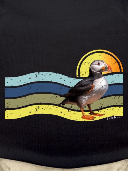 Puffin Island