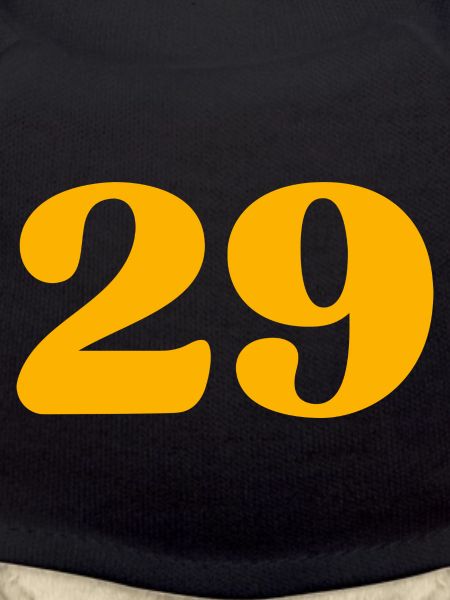 29