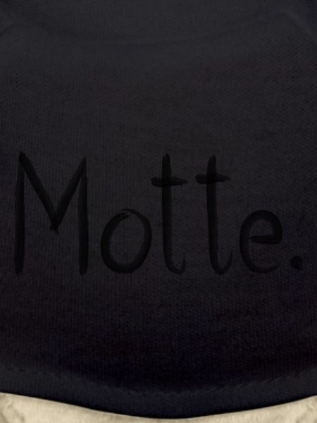 MOTTE