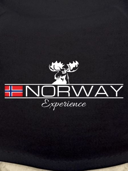 Norway Experience - Moose