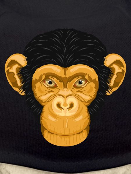 Monkey Chimpanzee Monkey