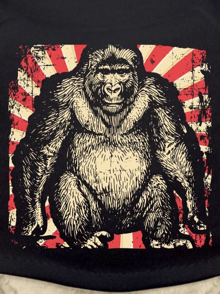 gorilla