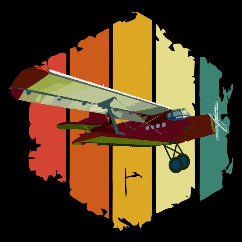 Airplane pilot model flight flying sport motive