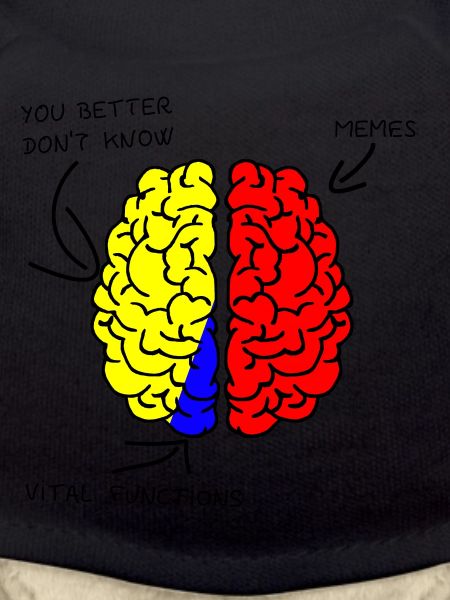 Brain - Brain - Memes