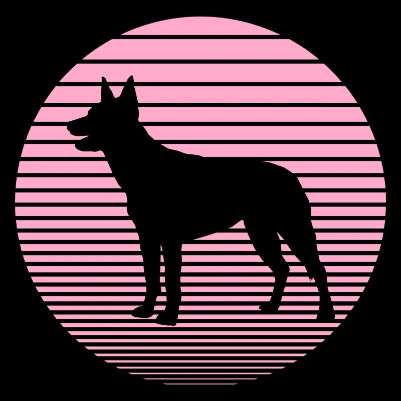 Australian Kelpie