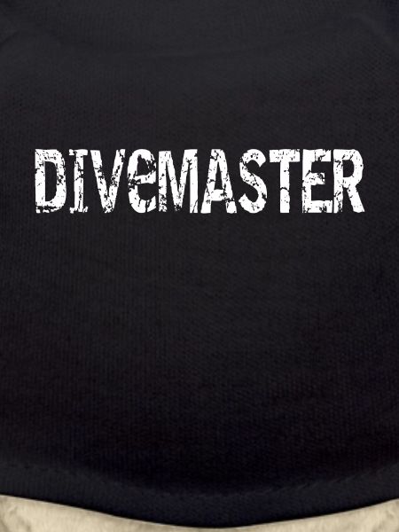 Divemaster diver diving