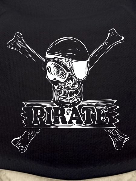 Pirate skull bones