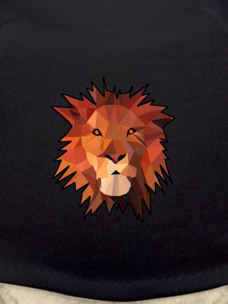 Lion gift gift idea