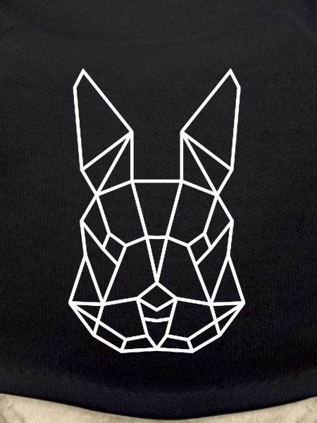 Hase Kaninchen poly