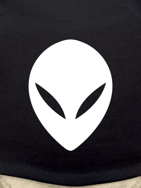 Ufo alien head