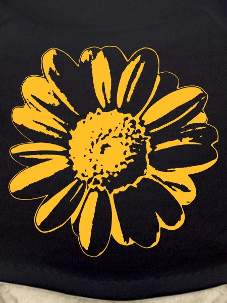 Flower daisy